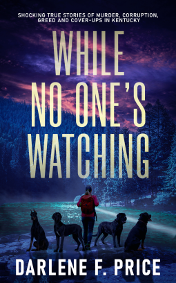 book cover for While No One's Watching