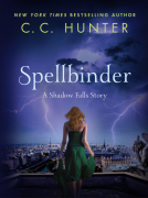 book cover for Spellbinder