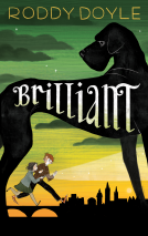 book cover for Brilliant