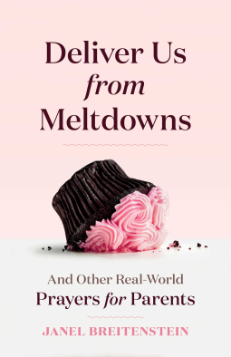 book cover for Deliver Us from Meltdowns