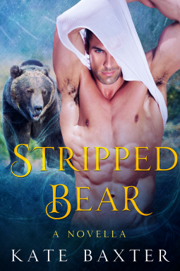 book cover for Stripped Bear