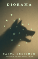 book cover for Diorama