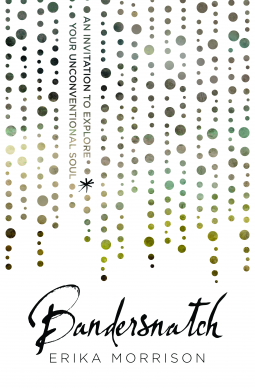 book cover for Bandersnatch