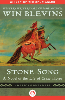 book cover for Stone Song