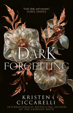 book cover for A Dark Forgetting
