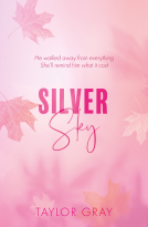 book cover for Silver Sky