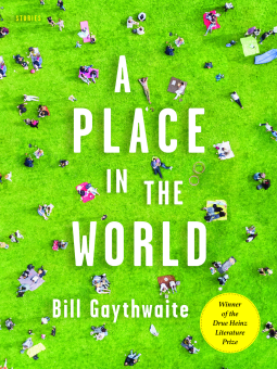 book cover for A Place in the World