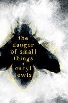 book cover for The Danger of Small Things