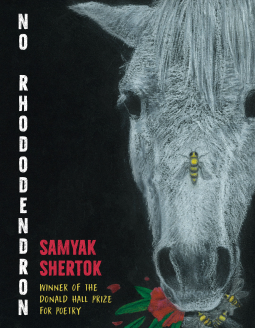 book cover for No Rhododendron