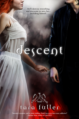 book cover for Descent (Entangled Teen)