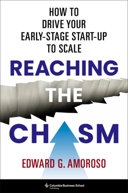 book cover for Reaching the Chasm