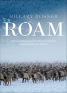 book cover for Roam