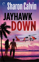 book cover for Jayhawk Down