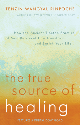 book cover for The True Source of Healing