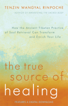 book cover for The True Source of Healing