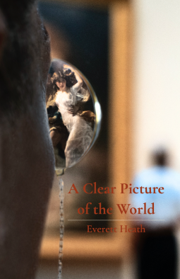 book cover for A Clear Picture of the World