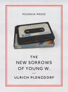 book cover for The New Sorrows of Young W.