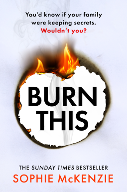 book cover for Burn This