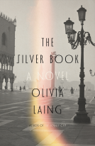 book cover for The Silver Book