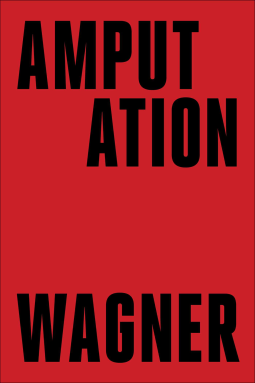 book cover for Amputation