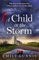 book cover for A Child in the Storm