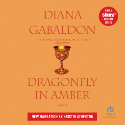 book cover for Dragonfly in Amber