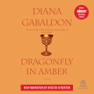 book cover for Dragonfly in Amber