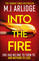 book cover for Into the Fire