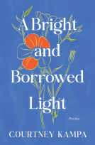 book cover for A Bright and Borrowed Light
