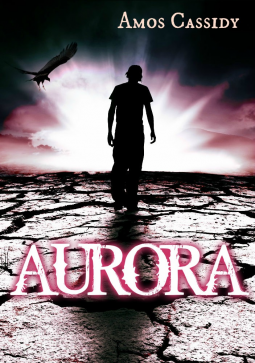 book cover for Aurora