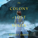 book cover for The Colony of Lost Souls
