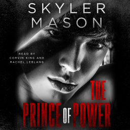 book cover for The Prince of Power
