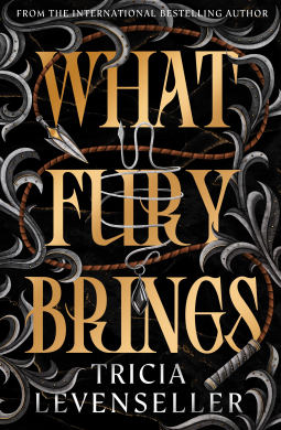 book cover for What Fury Brings