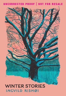 book cover for Winter Stories