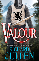 book cover for Valour