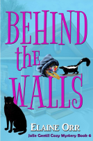 book cover for Behind the Walls