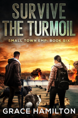 book cover for Survive the Turmoil