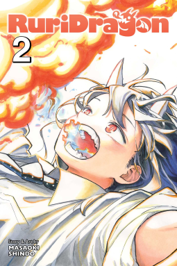 book cover for RuriDragon, Vol. 2