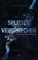 Buchcover für Splitterversprechen