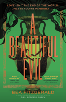 book cover for A Beautiful Evil
