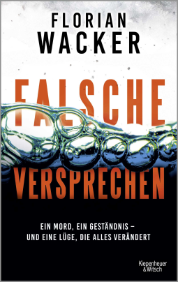 Buchcover für Falsche Versprechen