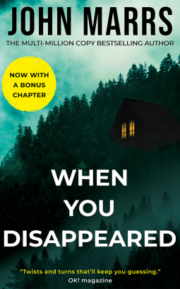 book cover for When You Disappeared