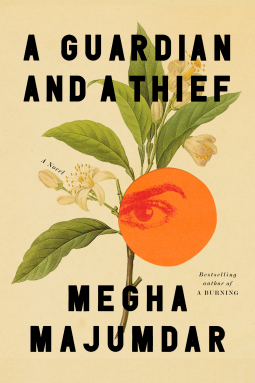 book cover for A Guardian and a Thief