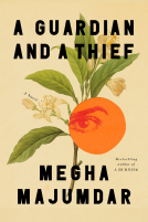 book cover for A Guardian and a Thief
