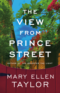 book cover for The View from Prince Street