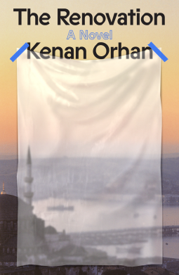 book cover for The Renovation