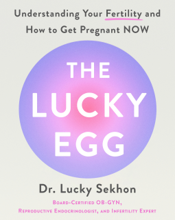 book cover for The Lucky Egg