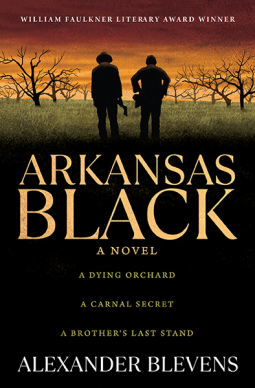 book cover for Arkansas Black
