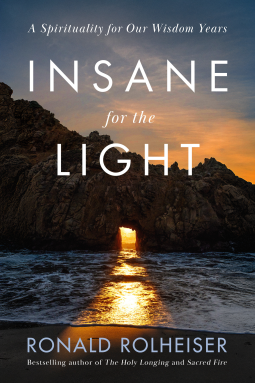 book cover for Insane for the Light
