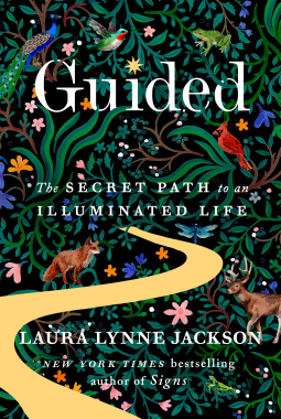 book cover for Guided
